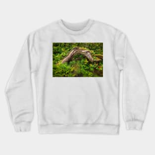 Forest floor, Pacific Rim National Park Crewneck Sweatshirt